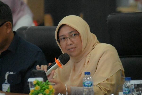Komisi IX Apresiasi Kesuksesan Tanjungpinang Turunkan Angka Stunting