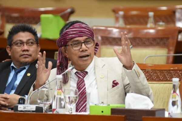 Hinca Minta Dewas Terpilih Jalankan Fungsi Pengawasan Secara Tepat
