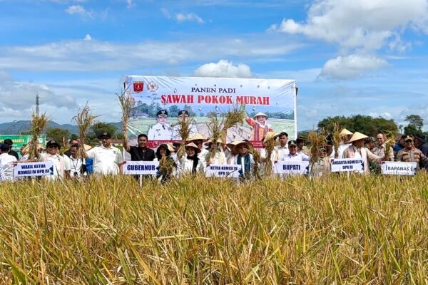 Alex Indra Lukman: Program ‘Sawah Bapokok Murah’ Solusi Capai Swasembada Pangan
